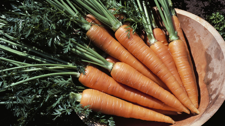 a wooden bowl full of bright orange carrots with green stems attached