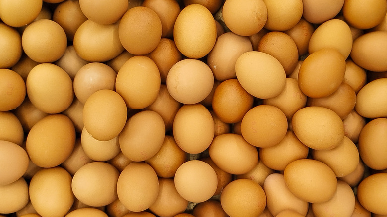 Pile of chicken eggs