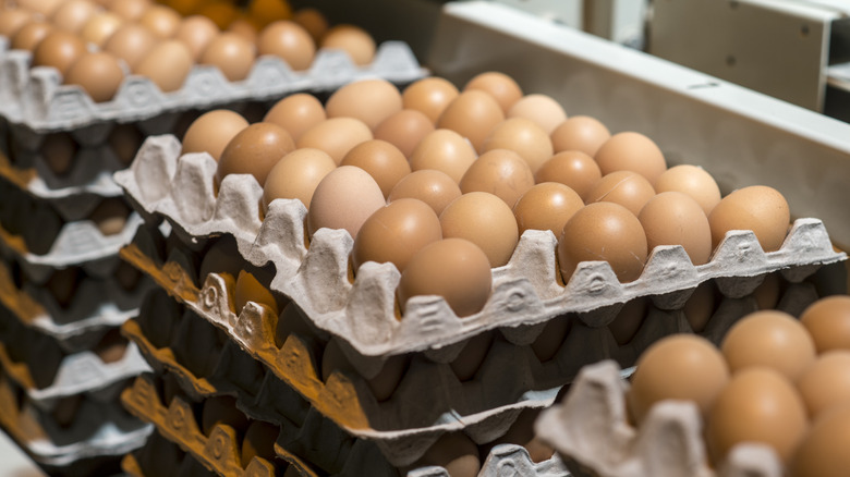 Stacks of egg cartons