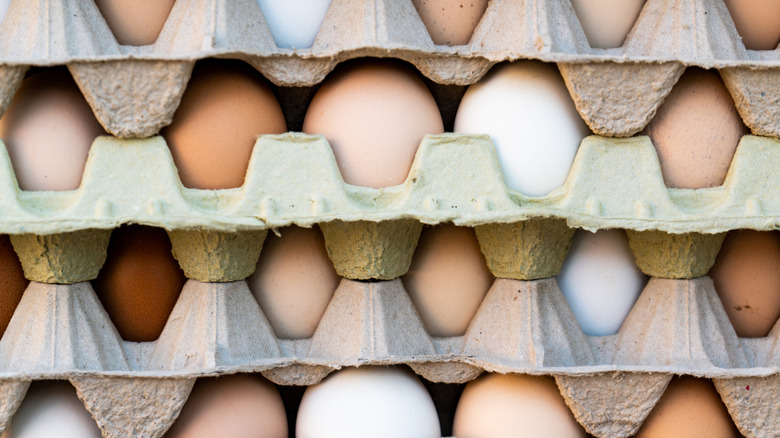 Cartons of eggs stacked