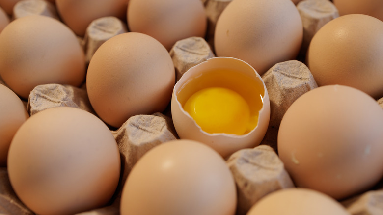 Close-up of one broken egg with yolk among whole eggs