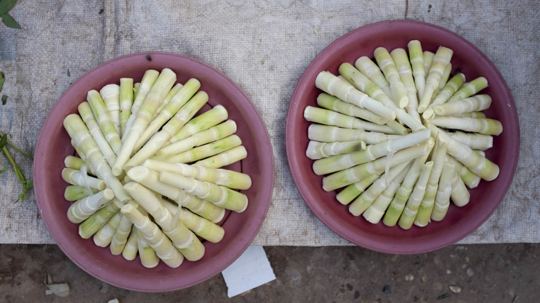 bamboo shoots in bowls