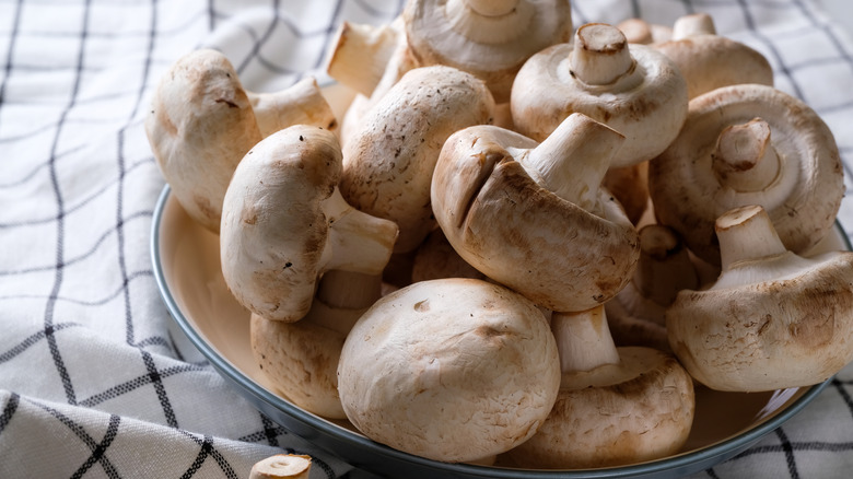 bowl of mushrooms