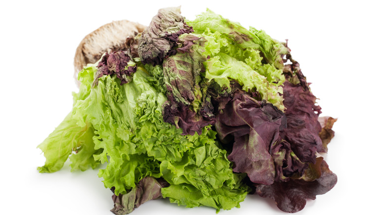 Pile of wilted lettuce on white backdrop