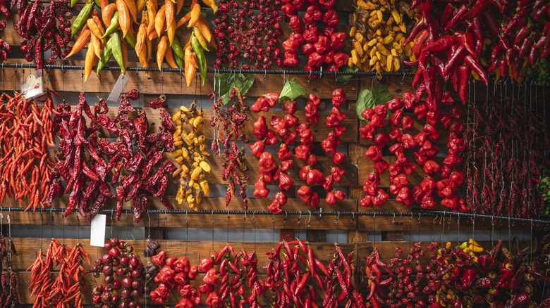 An assortment of chile peppers