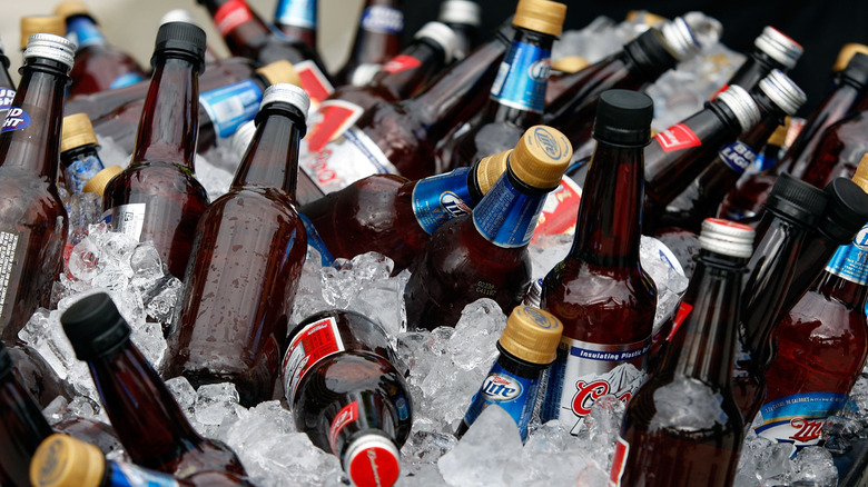 Multiple bottles of beer being displayed on ice.