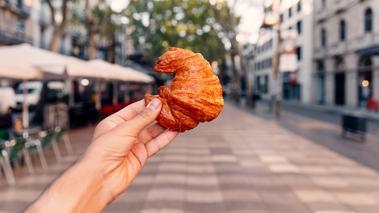 Hand holding up a croissant