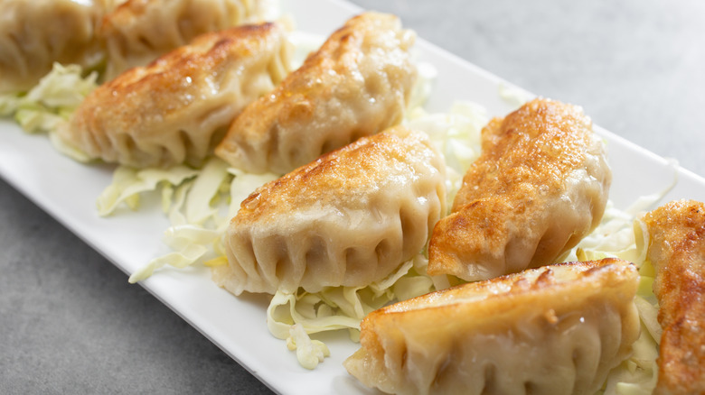 Close-up of potstickers