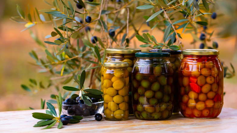 Jars of brined olives in front of an olive tree