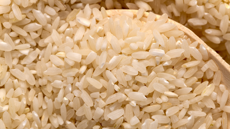 Many grains of Carolina gold rice