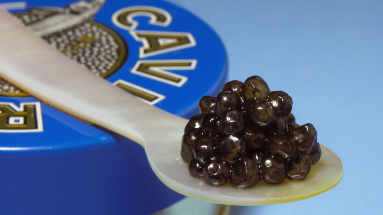 A spoon of black caviar on top of a blue container that says 