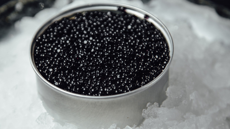 A metal container of black caviar on ice