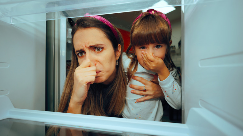 mother and daughter smelling something bad in their fridge and holding their noses