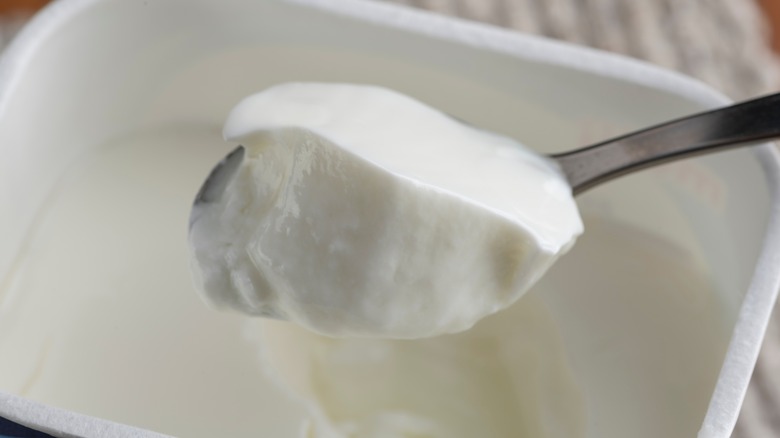 a spoon holding yogurt above a container