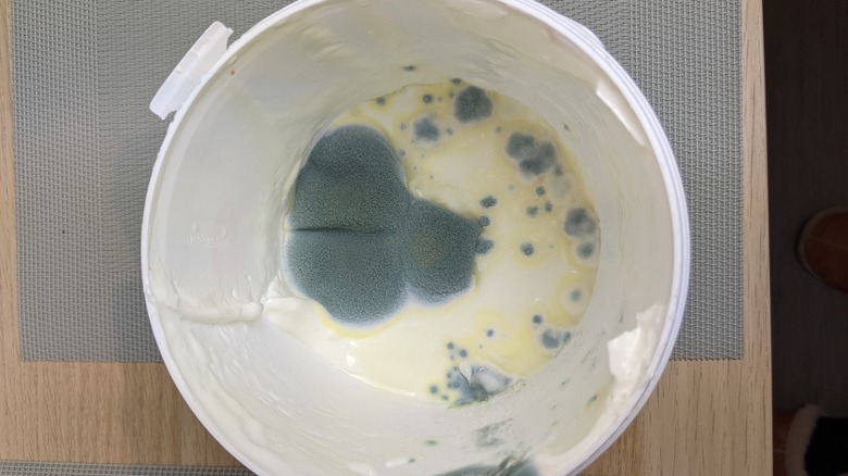 overhead of yogurt tub with mold