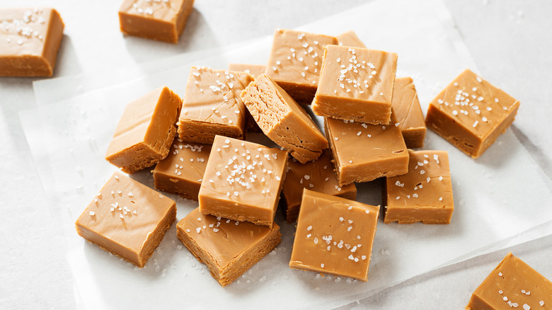 peanut butter fudge squares