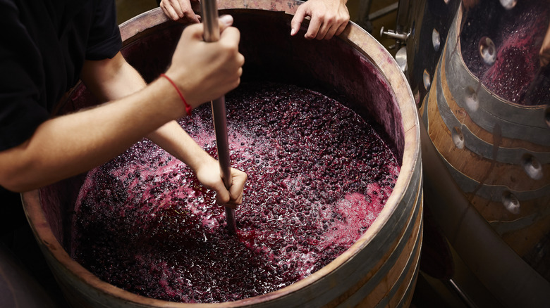 Winery employees making red wine in a barrel