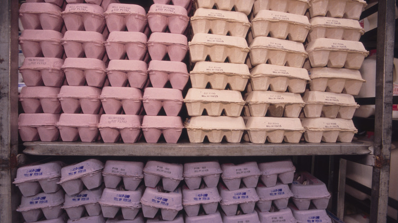 A full shelf of egg cartons at a grocery store