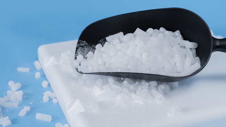 A scoop of dry ice pellets in a black ice scoop, on top of a styrofoam cooler top, on a blue background.