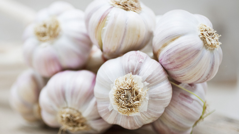 collection of garlic bulbs