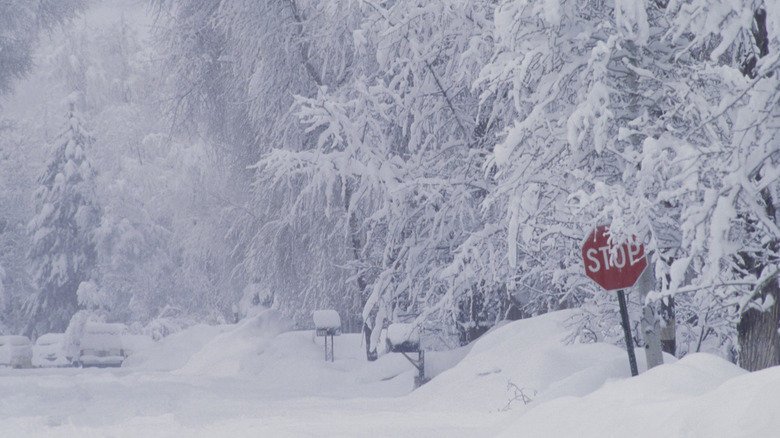 A street covered in snow with a stop sign