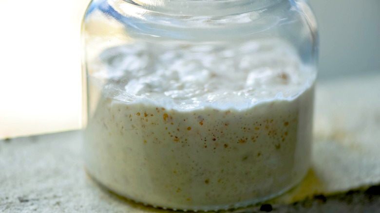 Sourdough starter in a glass jar