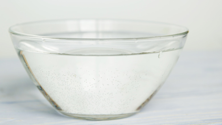 a bowl of water