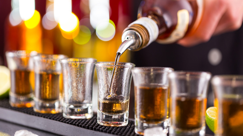 Bartender pouring a line of shots.