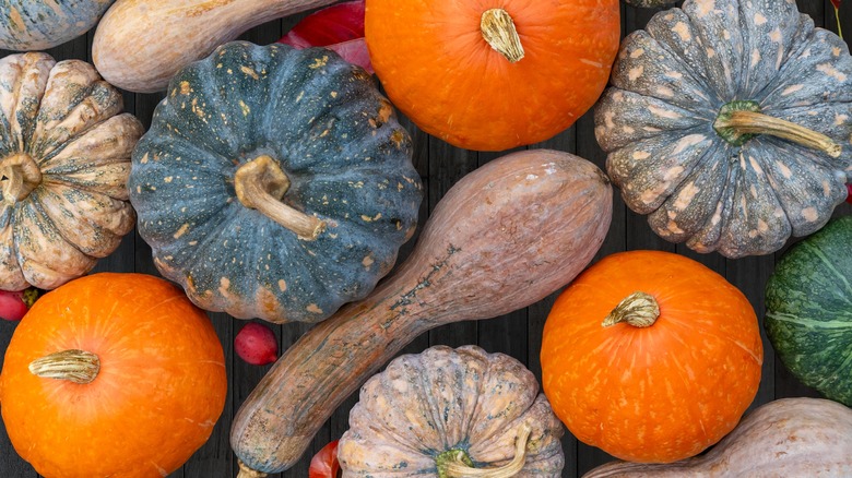 Variety of pumpkins and squashes