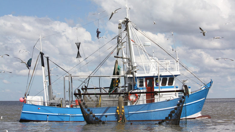 crab cutter with fishing nets