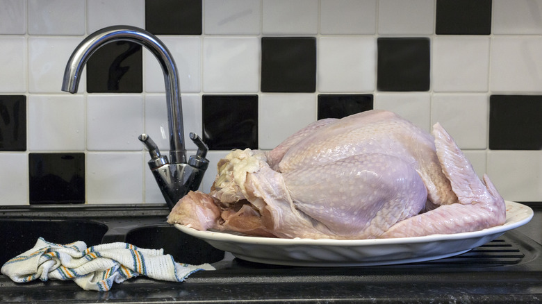 A raw turkey sitting beside a sink