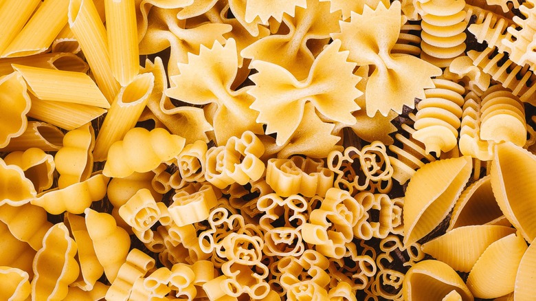 A close-up of different types of dry, uncooked pasta shells