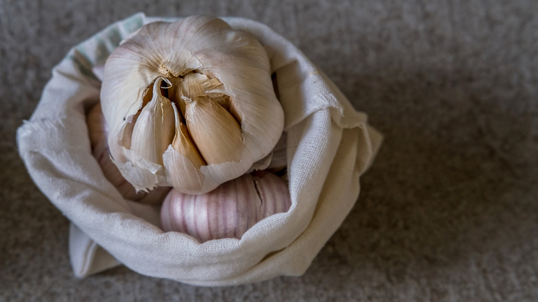 Garlic bulbs in a small burlap sack