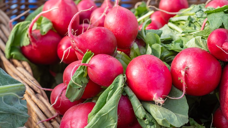 wicker basket full of radishes