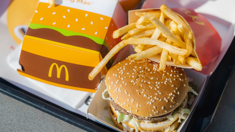 A McDonald's Big Mac with fries on a tray.