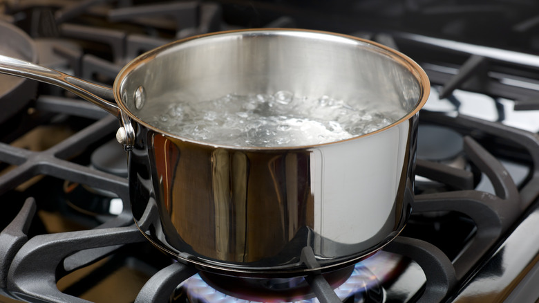 A pot of boiling water on the stove