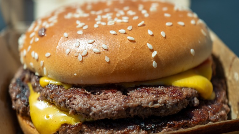 close up of McDonald's cheeseburger