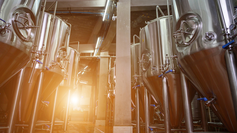 Rows of brewing tanks in a brewery.