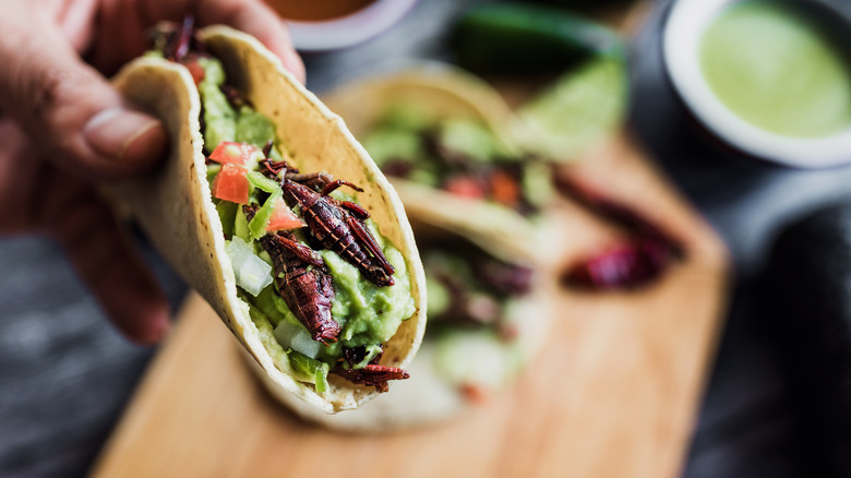 A hand holding a taco with chapulines (grasshoppers) and guacamole