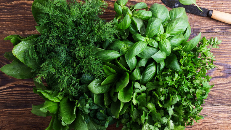 Fresh herbs assortment