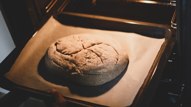 A person putting a loaf of bread on parchment paper into the oven.