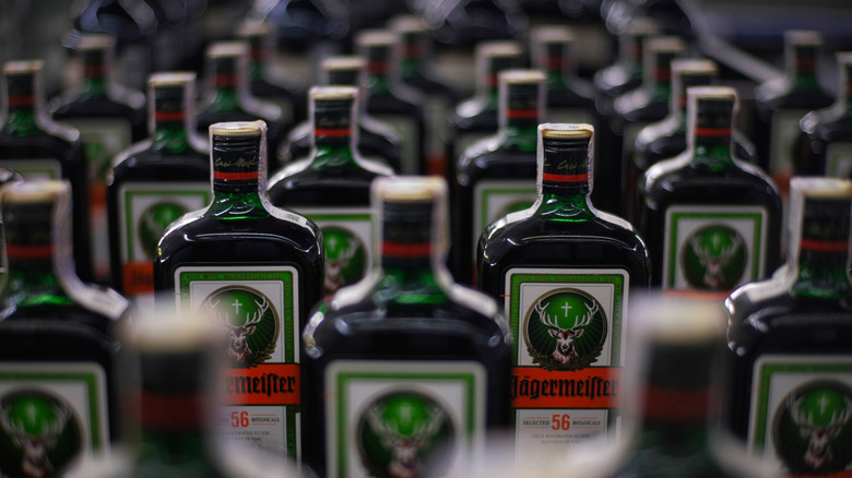 Jägermeister In rows, looking like soldiers ready for battle.