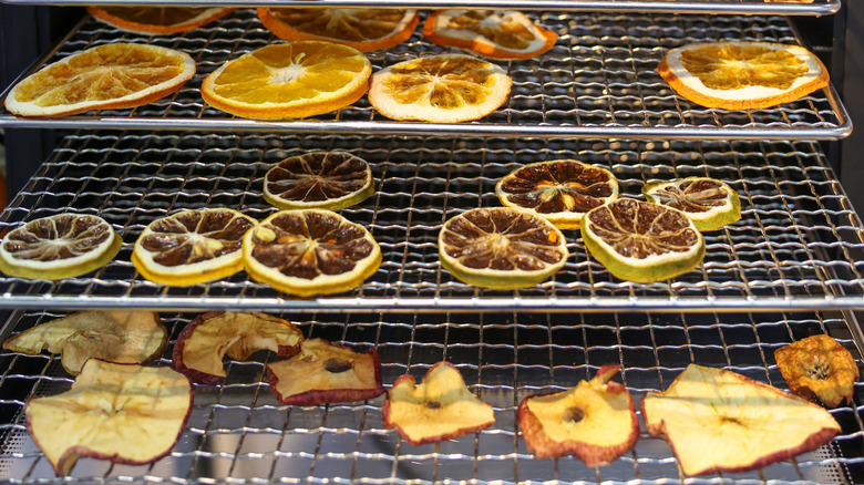 Dried slices of fruit sit on racks in a food dehydrator.