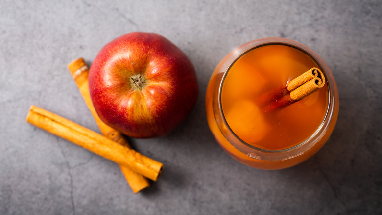 apple cider with cinnamon sticks and apple