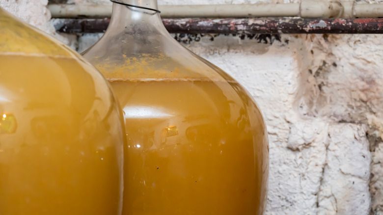 jugs of cider fermenting