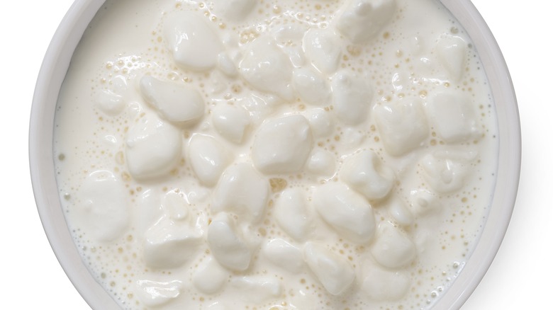 a bowl of white chunks in white liquid