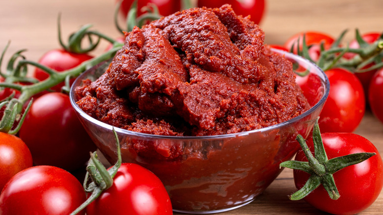 Tomato paste in bowl surrounded by fresh tomatoes