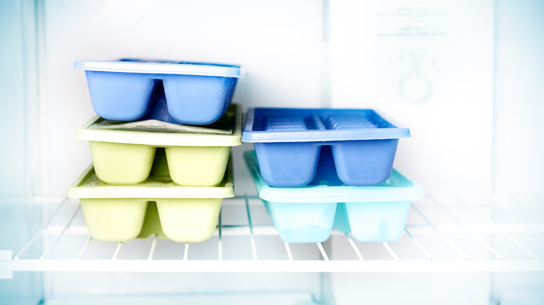 ice cube trays in a freezer