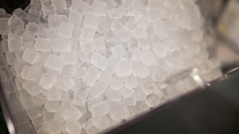 ice cubes in an ice maker