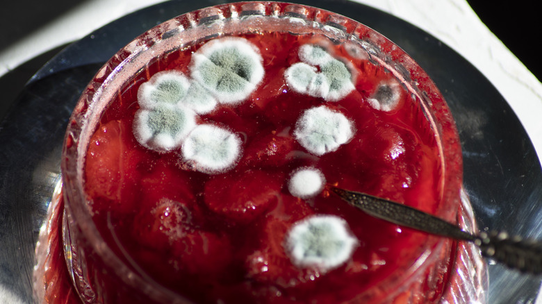 mold growth in a jar of jelly